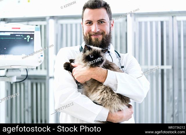 Veterinarian pet doctor holding cat patient in his animal clinic