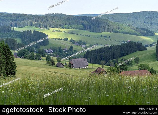 Europe, Germany, Southern Germany, Baden-Württemberg, Black Forest, View from Doldenbühl over the picturesque Black Forest farms near Thurner
