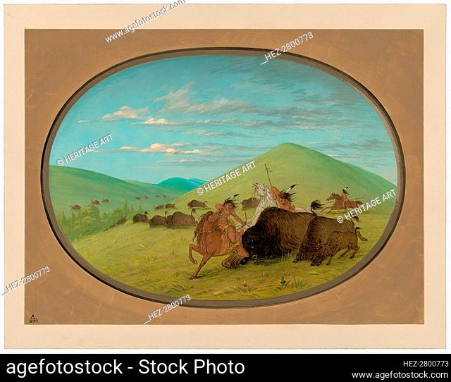 Buffalo Chase - Bulls Protecting the Calves, 1861/1869. Creator: George Catlin