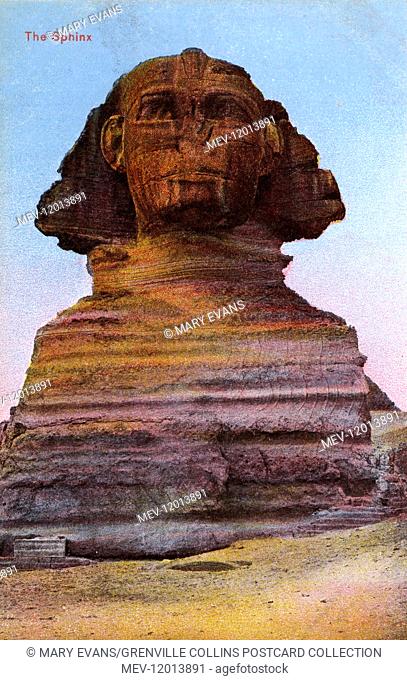A fine view of The Sphinx, Giza, Egypt