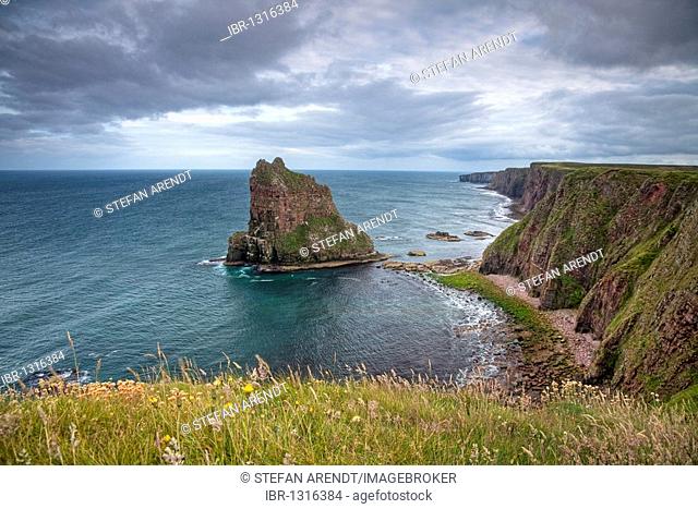 Stacks of Duncansby on the Scottish North Sea, Scotland, United Kingdom, Europe
