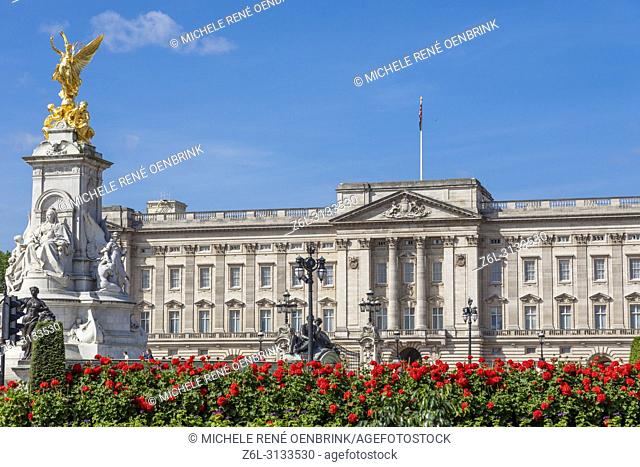 Summer flowers in front of Buckingham Palace in London England headquarters of the monarch of the United Kingdom