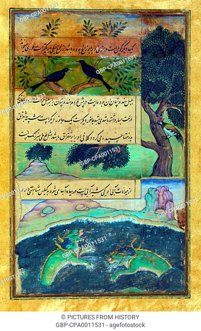 India: An illustration from the Baburnama. Animals of Hindustan - wild birds and dragon-like water creatures