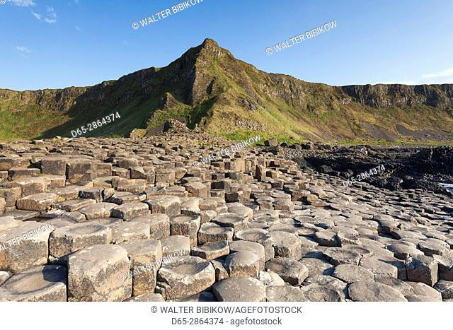 UK, Northern Ireland, County Antrim, Bushmills, Giants Causeway, Unesco World Heritage Site, coastal rock formation of basalt, dusk