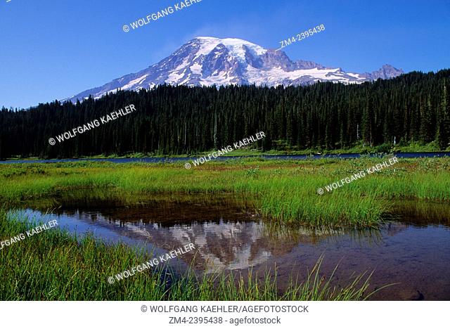 Mount Rainier is reflecting in the Reflection Lakes in Mount Rainier National Park in Washington State, USA