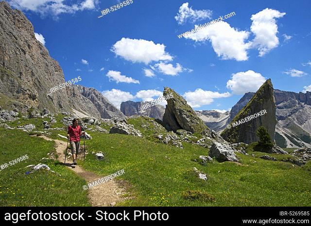 Malga-Alm below the Geislerspitzen, Seceda, Val Gardena, Dolomites, Trentino South Tyrol, Italy, Europe