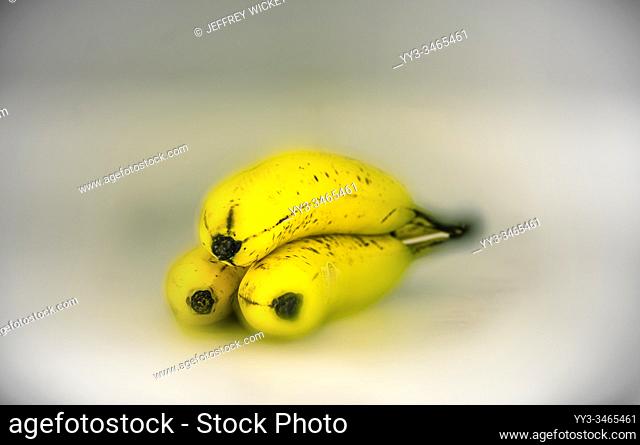 Artistic rendition of store bought bunch of bananas