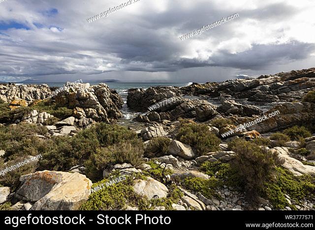 Rocky jagged coastline, eroded sandstone rock, view out to the ocean