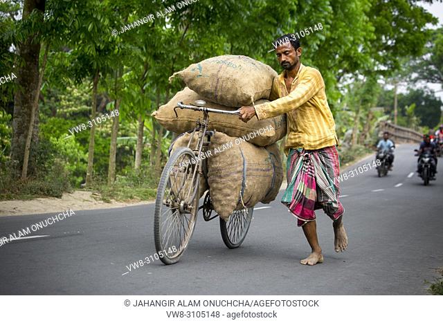 Farmers carry potato bags on their bicycles at a village in Munshiganj, near Dhaka, Bangladesh