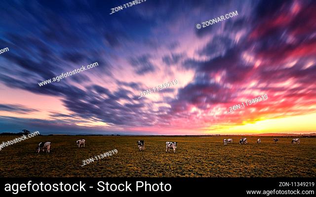 Sunset at the Farm, Color Image, Evening