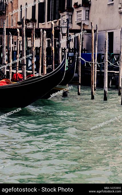 Venetian gondolas at the mooring on the Grand Canal in Venice, Italy