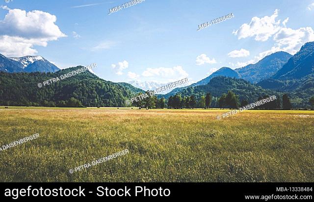 Alpine meadows and views of fantastic mountains in the Alps near Eschenlohe, Garmisch-Partenkirchen, Bavaria, Germany, Europe