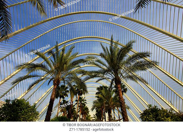 Spain, Valencia, City of Arts and Sciences, L'Umbracle