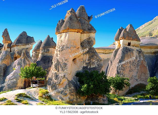 Fairy Chimneys near Zelve, Cappadocia Turkey