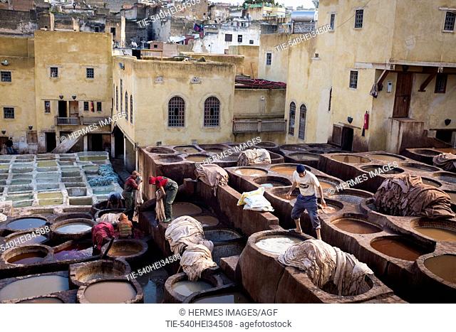 Morocco, Fes, Medina, tannery