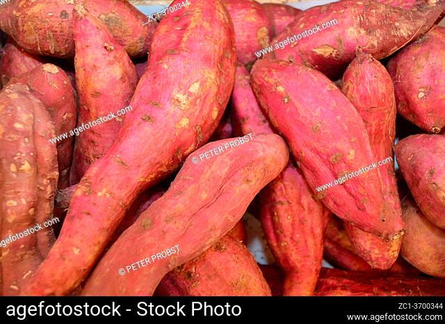 Sweet potatoes tubers on the fruit and vegetable market Naschmarkt in Vienna - Austria