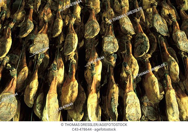 The king of hams, 'jamón ibérico' or 'jamón pata negra' (both acorn-fed ham) in a curing factory in the town of Jabugo in the Sierra de Aracena
