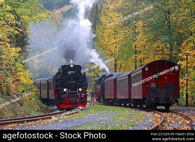 29 October 2023, Saxony-Anhalt, Wernigerode: A train of the Harzer Schmalspurbahn stands in the station Steinerne Renne in Wernigerode