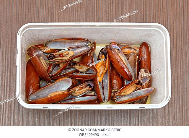 Date Clams Sea Food in Plastic Box