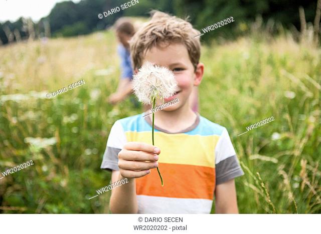 Boy holding dandelion flower in the meadow