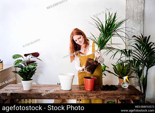 Redhead woman planting on table at home