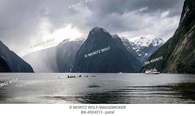 Tourist boat, rainy mood, Milford Sound, Fiordland National Park, Te Anau, Southland Region, Southland, New Zealand