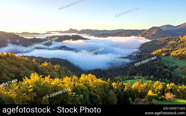 Thick fog covering the forest and the lake in early morning landscape