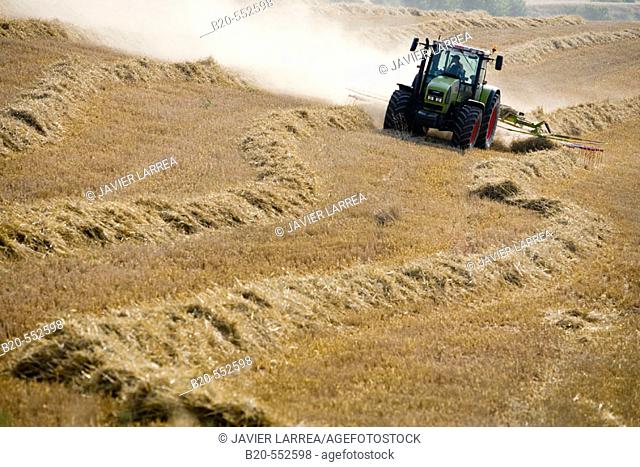 Agricultural machinery. Windrower. Harvesting of cereals,  'Learza' estate. Near Estella, Navarre, Spain
