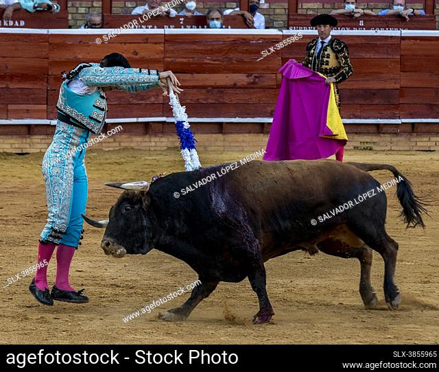 La Plaza de Toros de la Merced (Huelva) acogió el martes 3 de agosto una Corrida de Toros en la que se lidiaban las reses de Juan Pedro Domecq por los toreros...