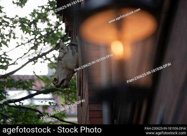 20 June 2023, Berlin: The sculpture of a horse's head is attached to a facade of a building at the Heckmann-Höfe in Mitte
