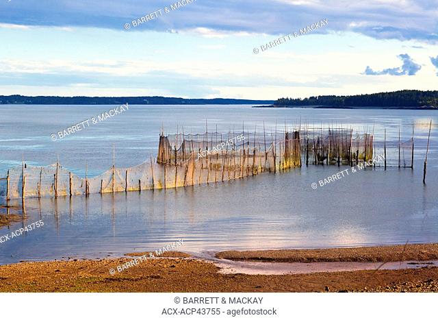 Weir net, Deer Island, Bay of Fundy, New Brunswick, Canada