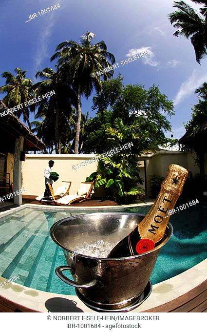 Champagne in champagne cooler at private swimming pool, deluxe suites in Laguna Resort, The Maldives, Indian Ocean