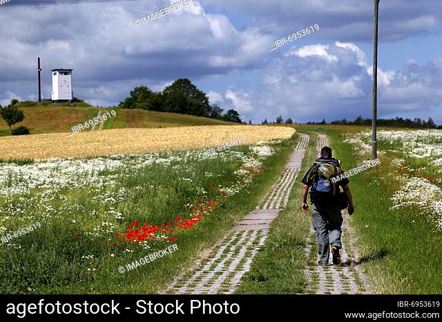 Man with backpack, hiker on Kolonnenweg, hiking trail through meadows and fields, Lochplattenweg, observation tower of the GDR border troops, border watchtower