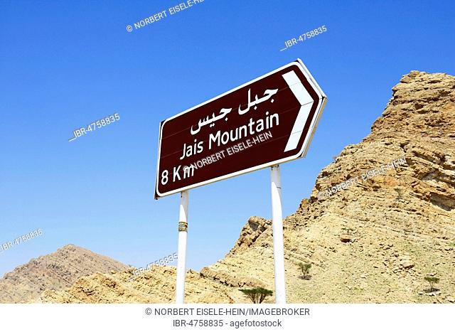 Shield Jais Mountain, Ras al Khaimah, United Arab Emirates