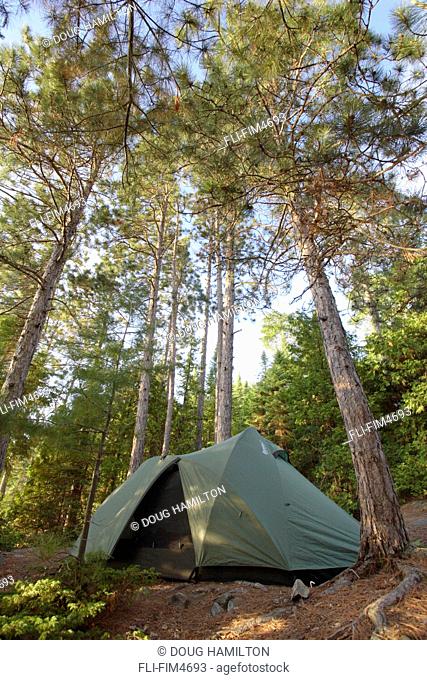 Tent under Pine Trees, Lake Temagami, Temagami, Ontario