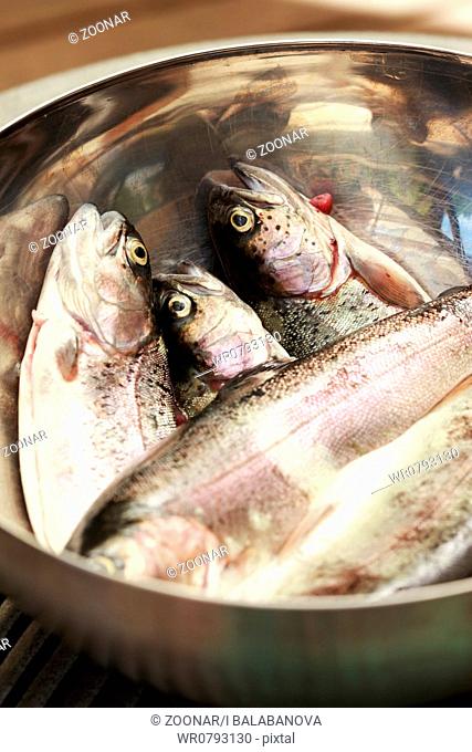 Fresh trouts ready for grilling or baking in the bowl