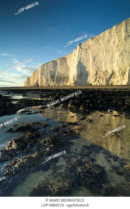 Brass Point situated at the western end of the Seven Sisters chalk cliffs. These impressive cliffs are over 150 metres in height and are a disappearing wonder...