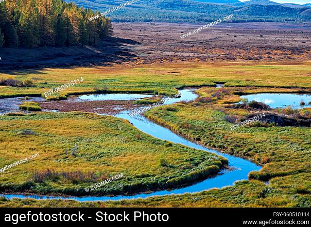 Altai river Kurkurek on Eshtykel plateau. Autumn, trees are in fall yellow colors. Altai, Siberia, Russia