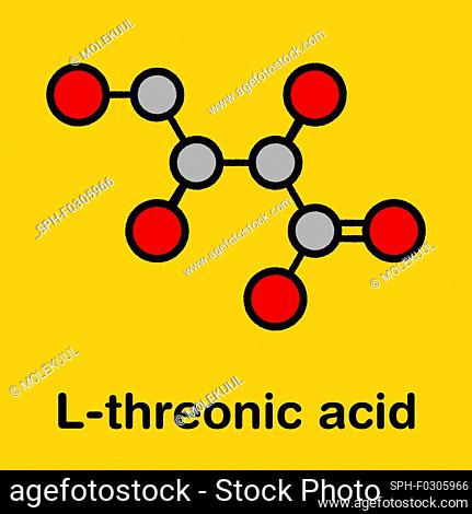 L-Threonic acid molecule, illustration
