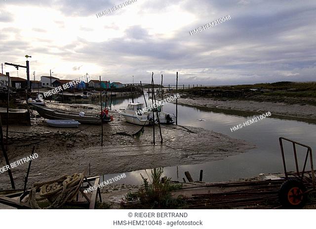 France, Charente Maritime, Ile d'Oleron, the chenal d'Ors, the oyster-farming, and the viaduct bridge of Oleron