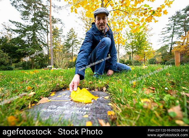 PRODUCTION - 09 November 2023, Lower Saxony, Lüneburg: Hans Hockemeyer, cemetery manager in Lüneburg, kneels at a so-called tree grave