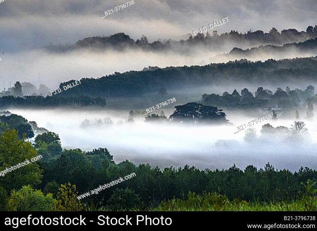 France, Nouvelle Aquiyaine, Foggy winter morning, Lot river valley, near Casseneuil