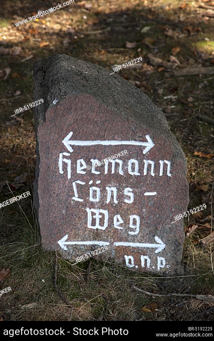 Stone with inscription Hoermann-Loens-Weg, Lüneburg Heath Nature Reserve, Undeloh-Totengrund, Lower Saxony, Hermann-Löns-Weg, Germany, Europe