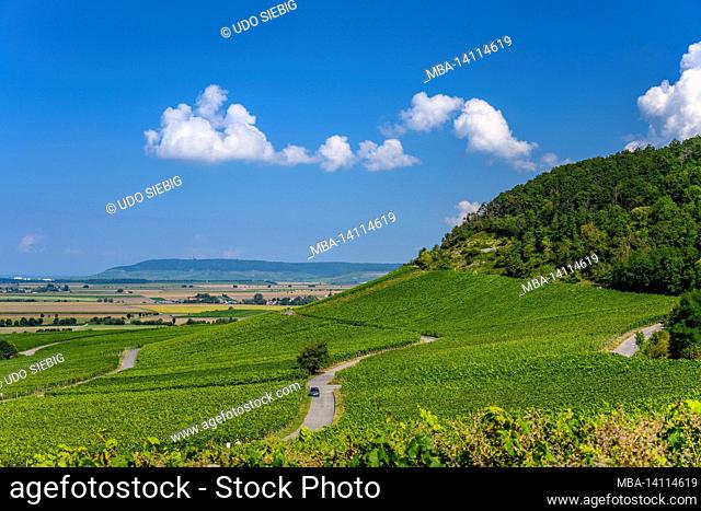 germany, bavaria, middle franconia, franconian wine country, markt ippesheim, wine landscape at the weinparadiesscheune, in the background the schwanberg