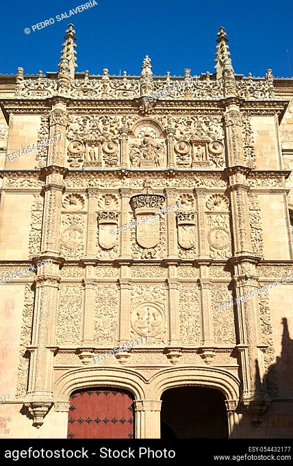 Exterior view of Salamanca Cathedral, Castilla Leon in Spain