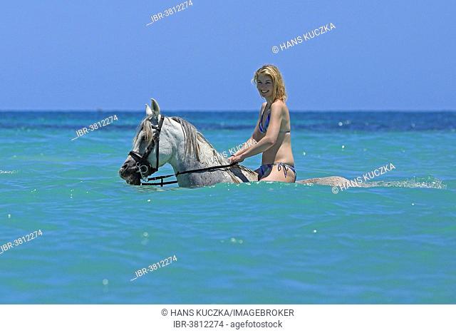 Woman wearing a bikini riding a horse in the sea, riding vacation, Djerba, Tunisia, Foto de Stock, Imagen Derechos Protegidos Pic. IBR-3812274 |