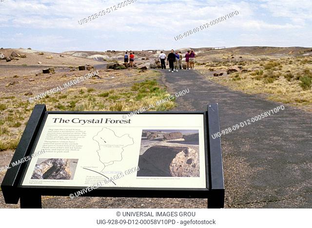 Arizona. Petrified Forest National Park. The Crystal Forest
