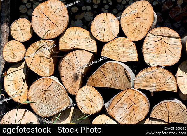 dry chopped firewood logs in a pile