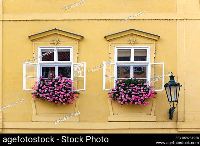 Prague. Window in the old house, decorated with flowering plants