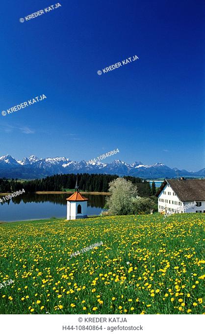 Germany, Europe, Bavaria, Hegratsrieder See, Allgau, lake, mountains, alps, landscape, farmhouse, Tannheimer Alpen, ch